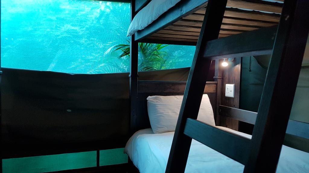 Urban Glamping Tranquil International Backpacking Village Saint Lucia Estuary Buitenkant foto